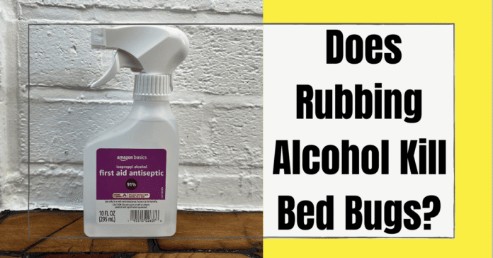 How Fast Does Alcohol Kill Bed Bugs on Mattress Permanently in 2025 