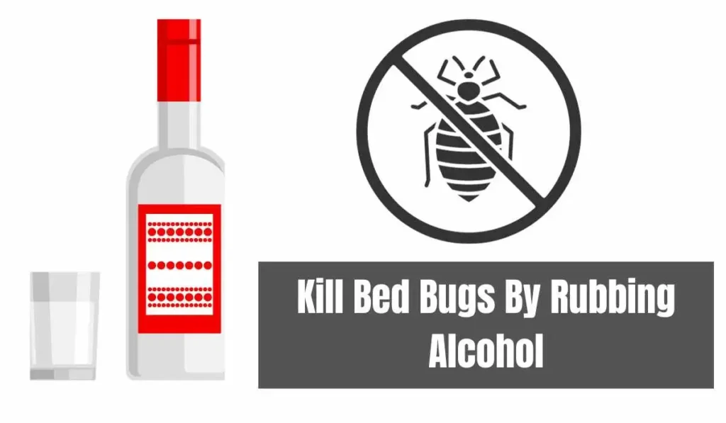 How Does Alcohol Kill Bed Bugs?