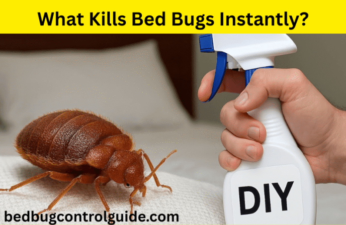 What Kills Bed Bugs Instantly and Permanently at Home in 2025