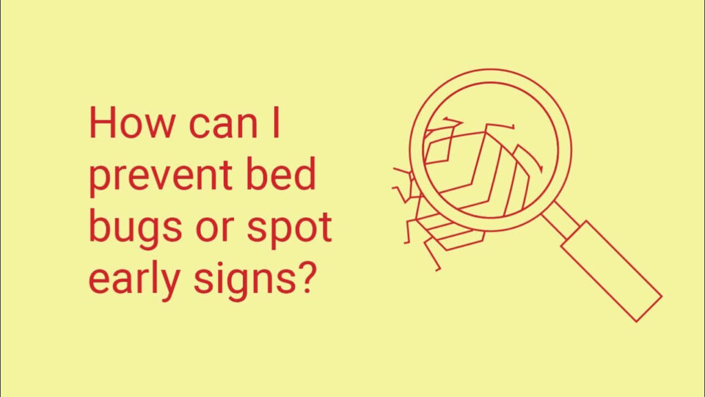 How to Confirm the Presence of Bed Bugs