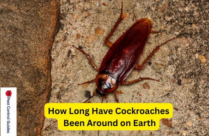 How Long Have Cockroaches Been Around on Earth