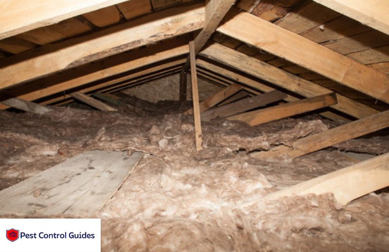 Insulating Roof Rafters | Attic Rafter Insulation | Rafter Insulation - Pest Control Guides