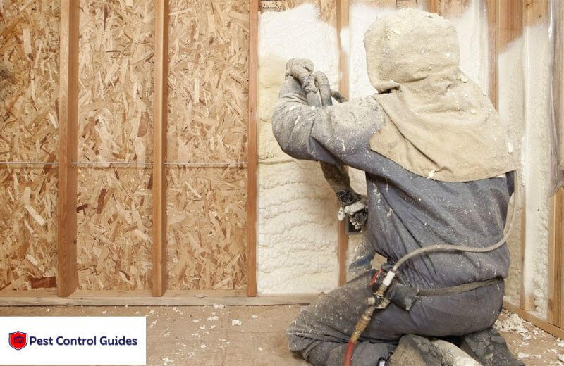 Spray Foam Insulation?