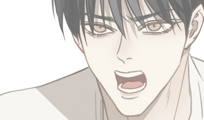 Flowers are Bait Manhwa Novels: Everything You Need to Know