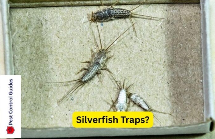 Best Silverfish Traps and Prevention Tips? 2025 Guide