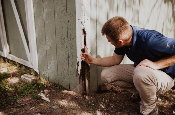 How Termite Inspection Process Work? 2025 Complete Guide - Pest Control Guides