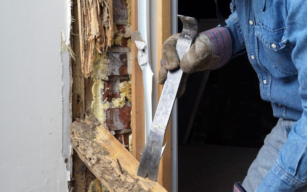 Steps in the Termite Inspection Process | Termite Inspection Near Me